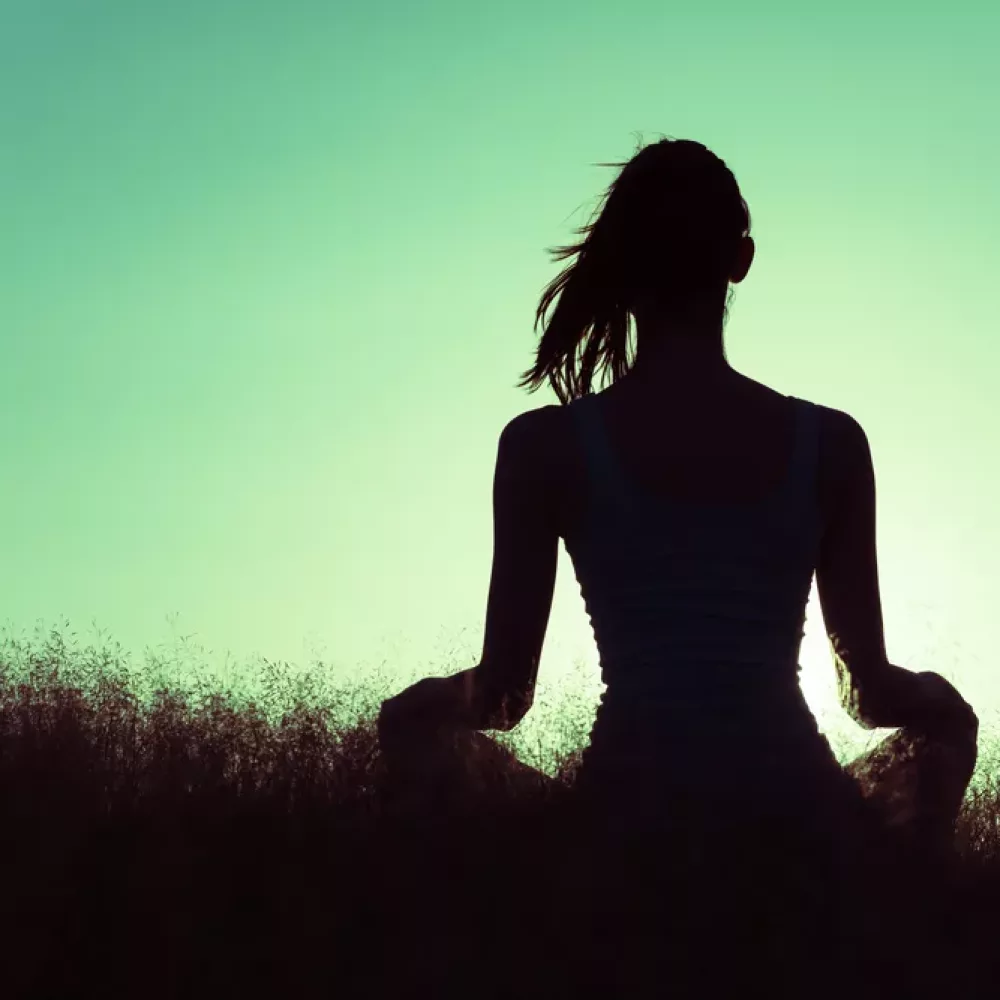 Faeries &#038; the Elementals as a path to raising your awareness and creating abundance?!
